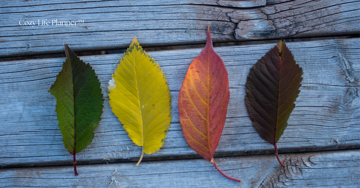 Why Seasonal Planning Works
