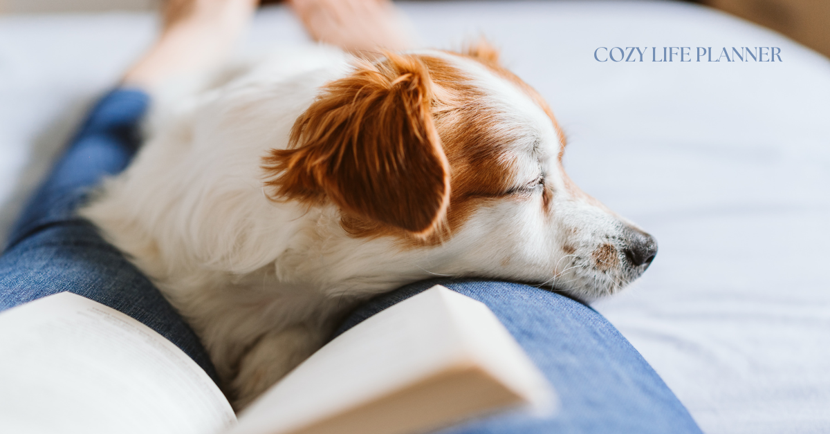 What Counts as Productive on a Rest Day